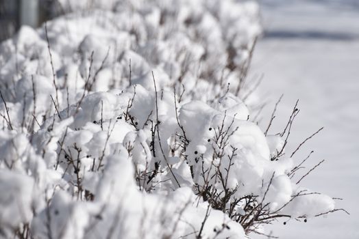 Kuvituskuva uutiseen: Even Realities panostaa kamerattomiin älylaseihin ja työelämän toimintoihin (even realities, …