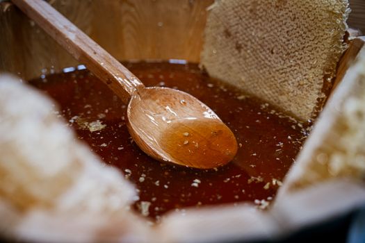 Kuvituskuva uutiseen: Hunajan pääsato on alkanut varovaisen lupaavasti (hunaja, mehiläiset)
