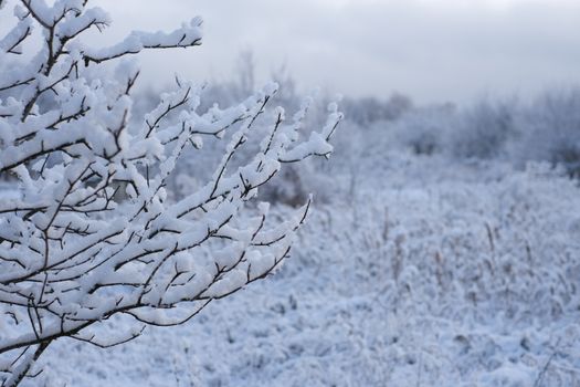 Kuvituskuva uutiseen: Salla Sivula siirtyy KalPasta Naisten Mestikseen (salla sivula, naisten mestis)