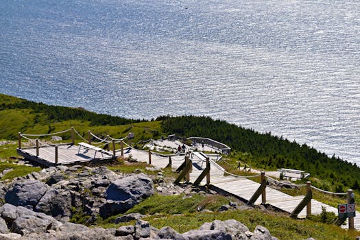 Kuvituskuva uutiseen: Tuomioistuin asettui vaeltajan puolelle metsäkiellosta Nova Scotiassa (kanada, nova scotia)