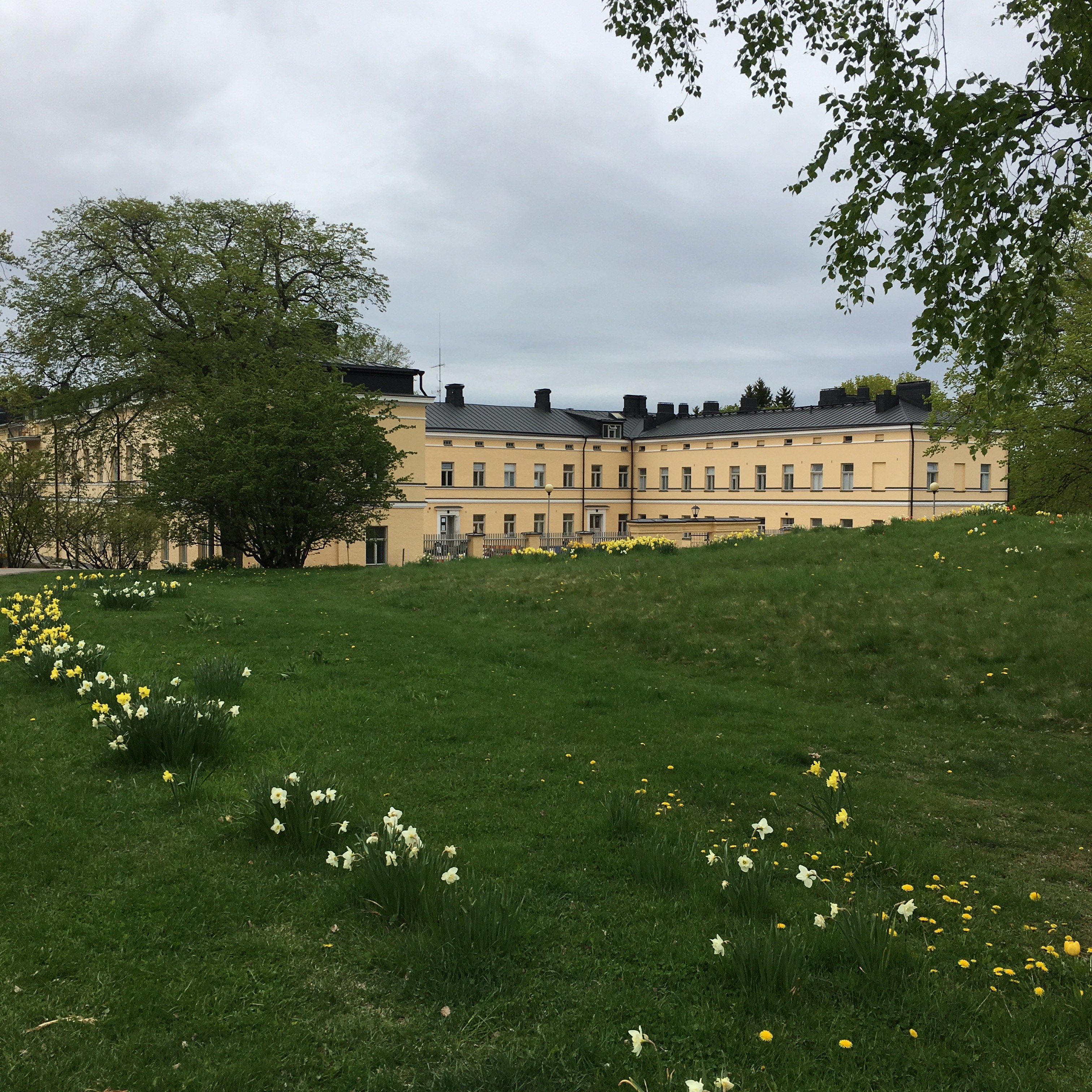 Arkistokuva: Lapinlahden sairaalan keltainen julkisivu ja puistoa toukokuussa 2017.