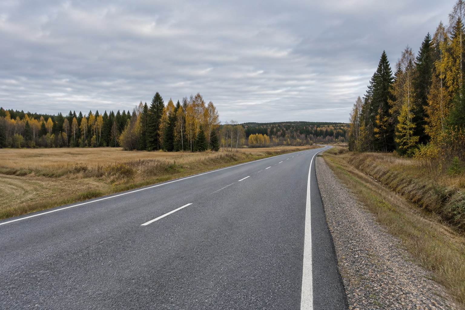 AI-generoitu kuva: Tyhjä kaksikaistainen asfalttitie mutkittelee maaseudulla, ja sen reunoilla on kuivaa ruohoa ja syksyisiä puita.