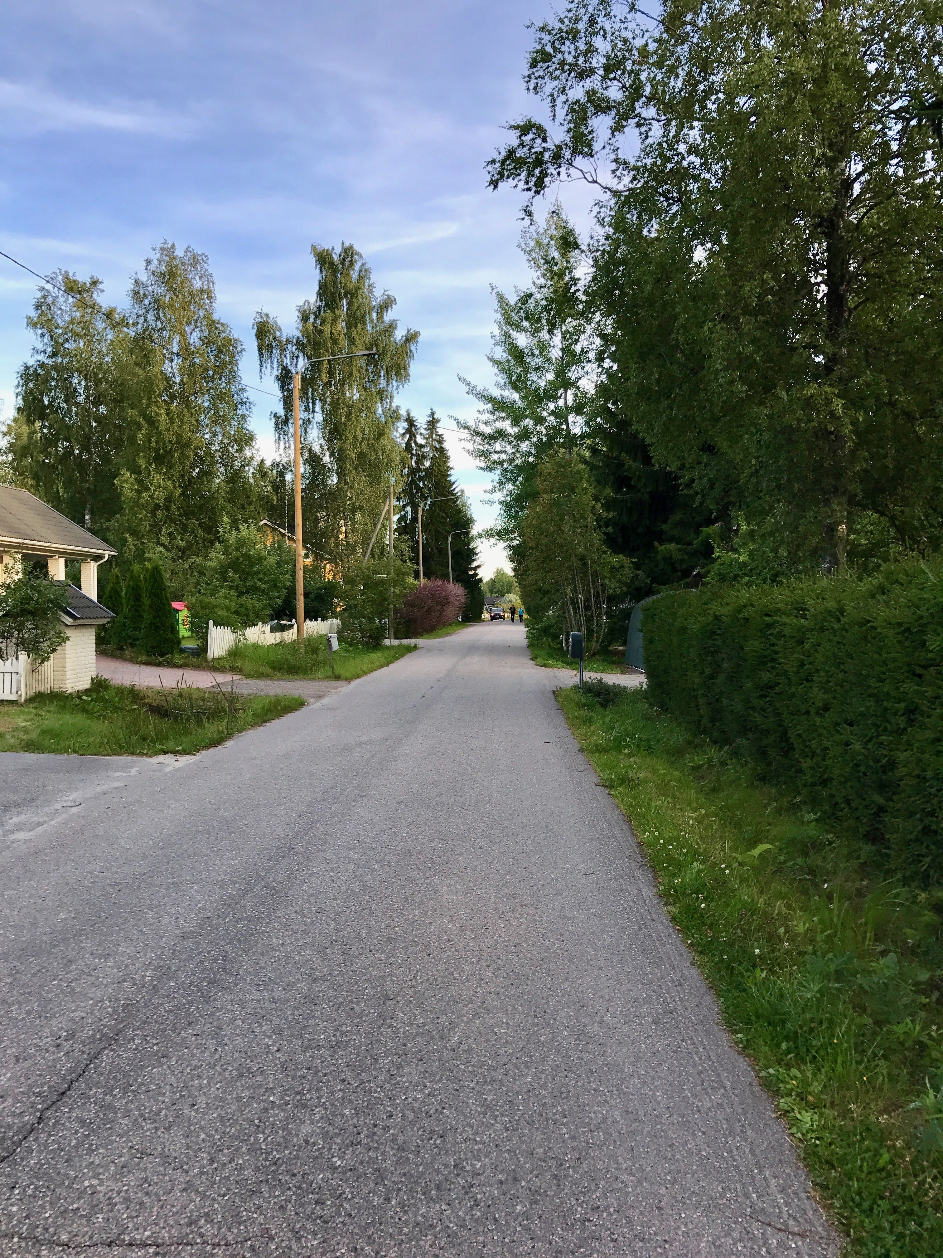 Arkistokuva: Puuston ja pientalojen reunustama tie Vantaan Koivurinteessä elokuussa 2017.
