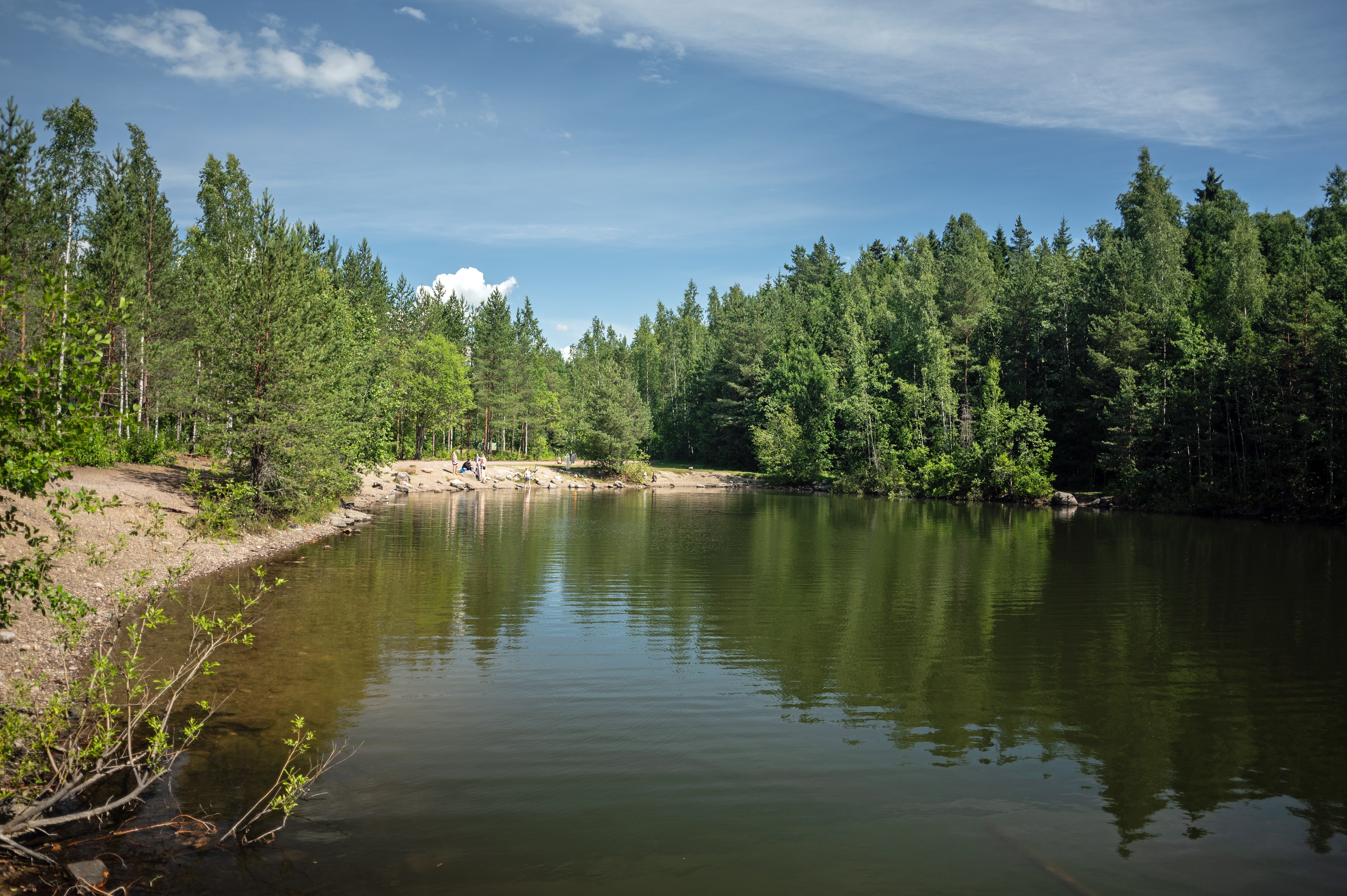 Arkistokuva: Jakomäen ja Vaaralan lampialueen metsärantainen lampi heinäkuussa 2026.