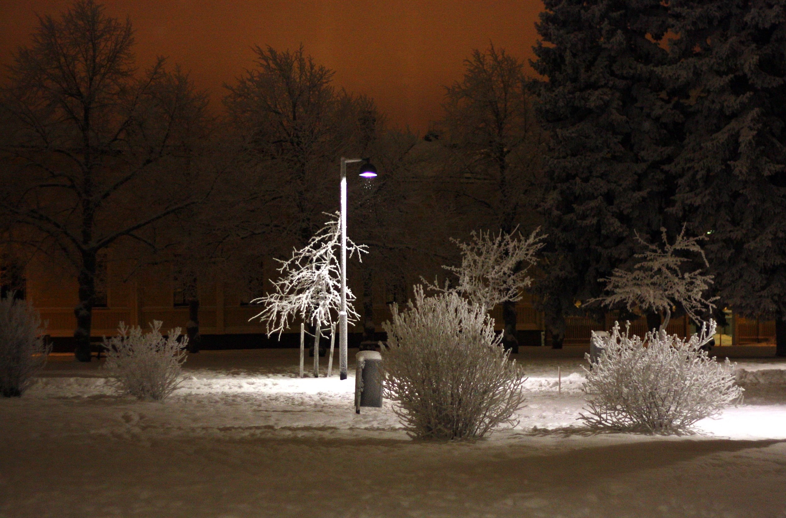Arkistokuva: Luminen Heinätorin puisto Oulussa katuvalon loisteessa joulukuussa 2010.