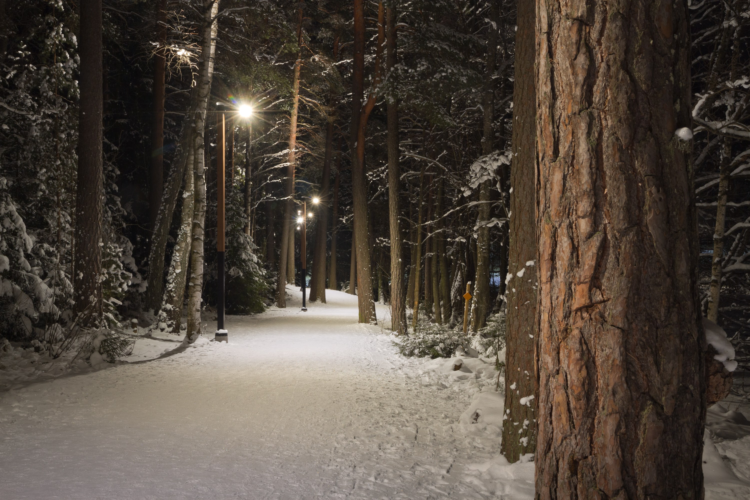 Arkistokuva: Valaistu luminen metsäpolku Vantaan Kuusijärvellä tammikuussa 2021.